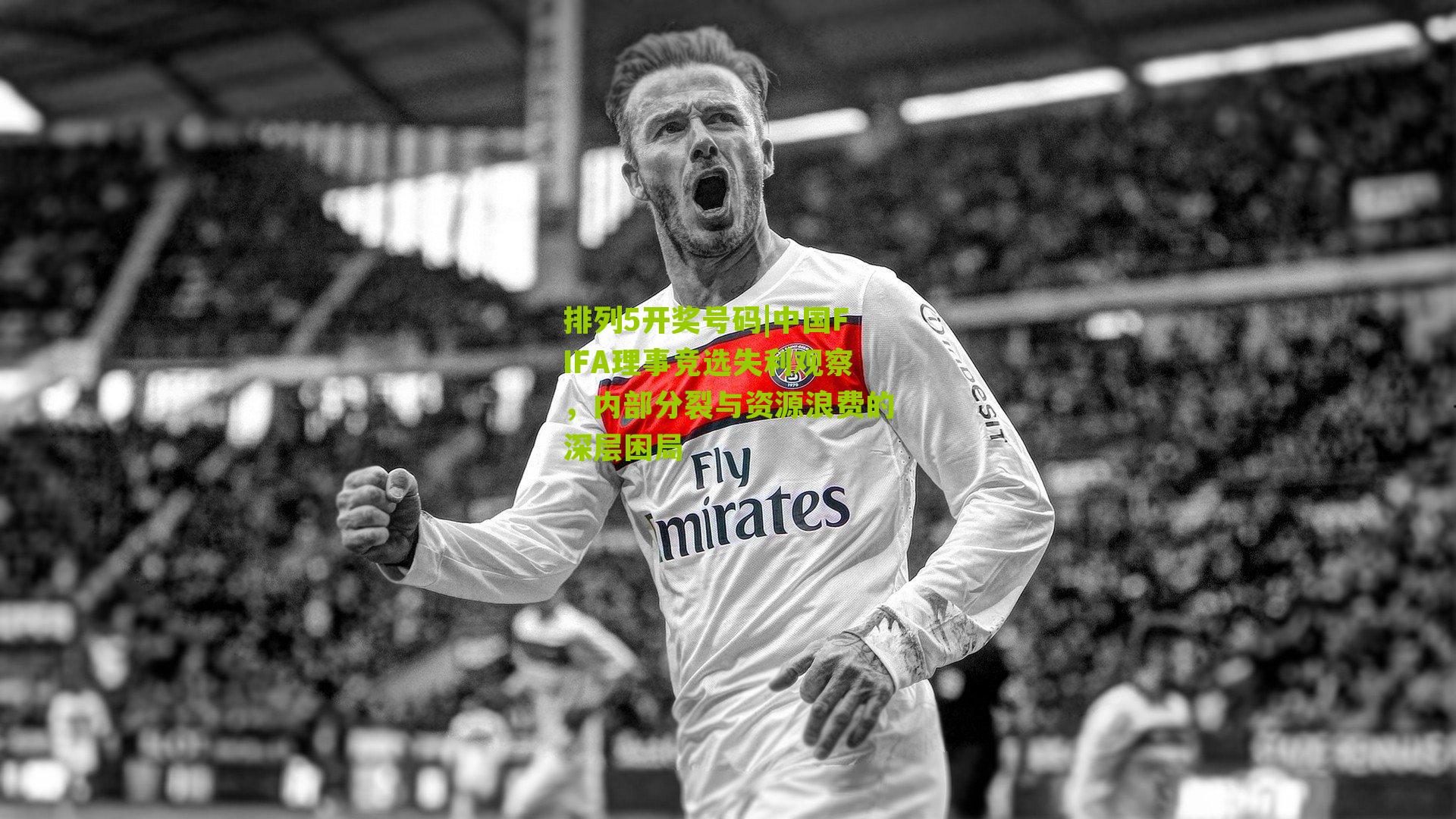 中国FIFA理事竞选失利观察,内部分裂与资源浪费的深层困局