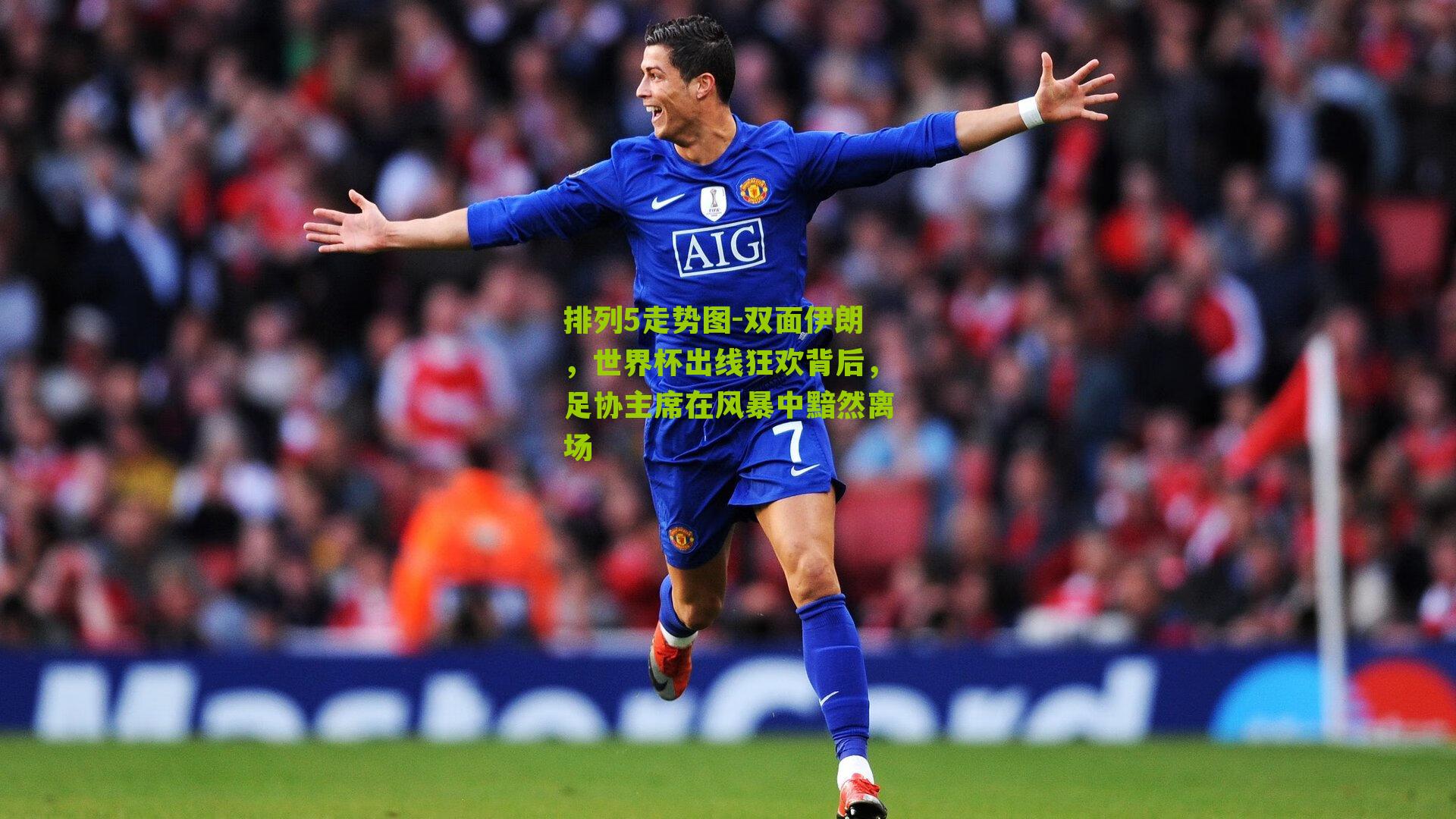 双面伊朗,世界杯出线狂欢背后,足协主席在风暴中黯然离场