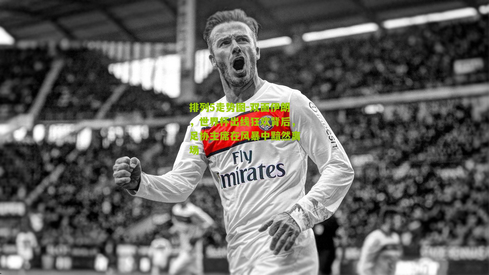 双面伊朗,世界杯出线狂欢背后,足协主席在风暴中黯然离场