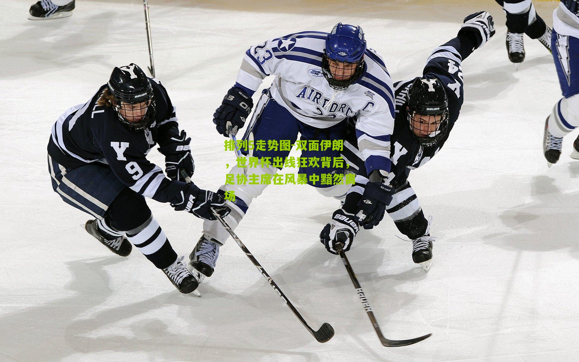 双面伊朗,世界杯出线狂欢背后,足协主席在风暴中黯然离场